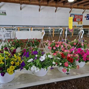 Hanging baskets