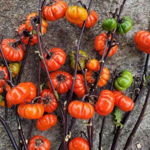 Pumpkin on a stick